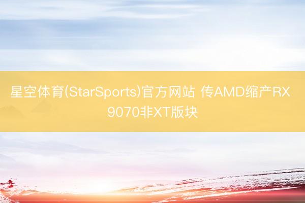 星空体育(StarSports)官方网站 传AMD缩产RX 9070非XT版块