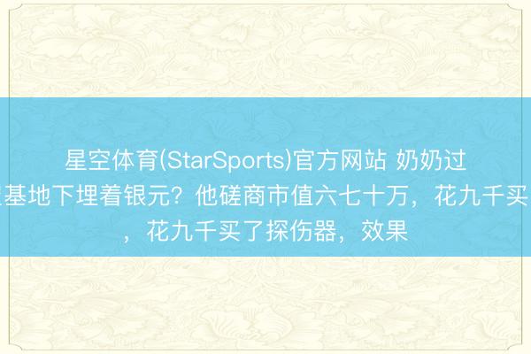 星空体育(StarSports)官方网站 奶奶过世前曾表露,屋基地下埋着银元?他磋商市值六七十万,花九千买了探伤器,效果