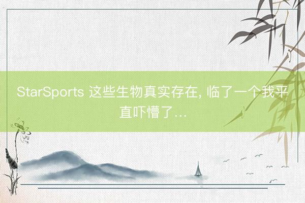 StarSports 这些生物真实存在, 临了一个我平直吓懵了…