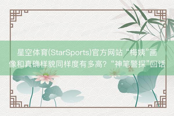 星空体育(StarSports)官方网站 “梅姨”画像和真确样貌同样度有多高?“神笔警探”回话