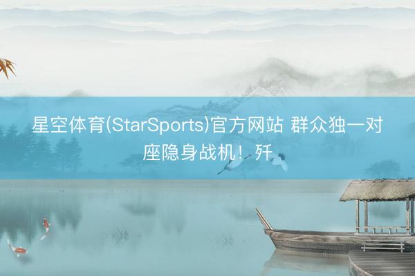 星空体育(StarSports)官方网站 群众独一对座隐身战机！歼