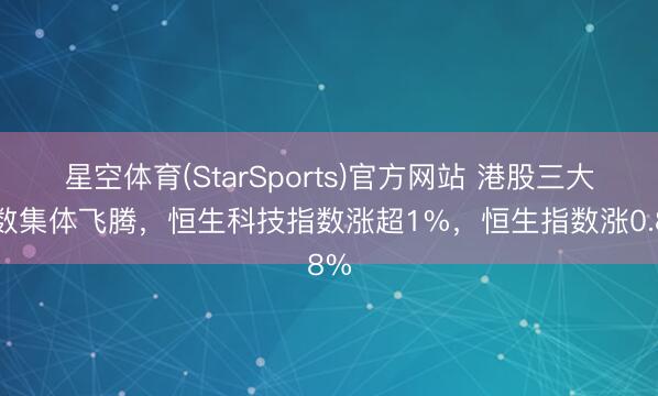 星空体育(StarSports)官方网站 港股三大指数集体飞腾,恒生科技指数涨超1%,恒生指数涨0.8%