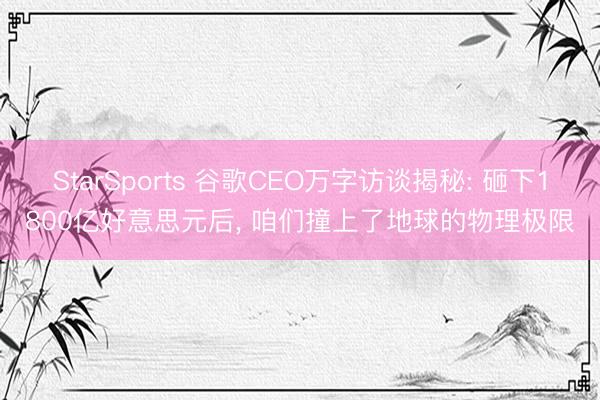 StarSports 谷歌CEO万字访谈揭秘: 砸下1800亿好意思元后， 咱们撞上了地球的物理极限