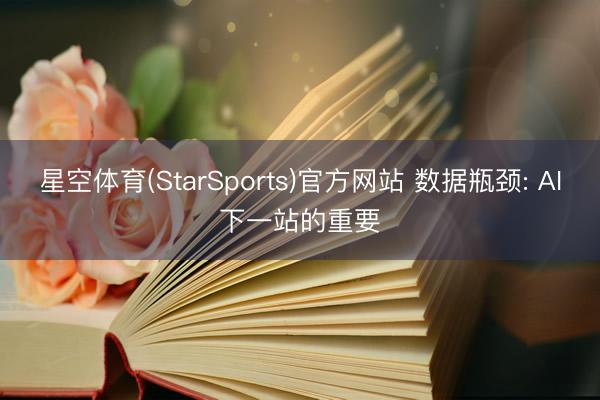星空体育(StarSports)官方网站 数据瓶颈: AI下一站的重要