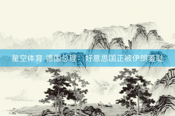 星空体育 德国总理：好意思国正被伊朗羞耻