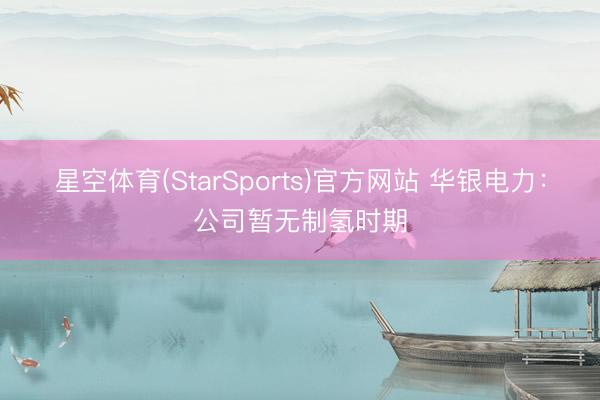星空体育(StarSports)官方网站 华银电力：公司暂无制氢时期